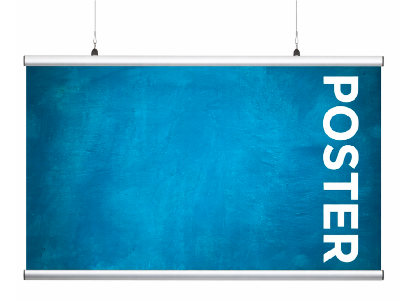 professional-poster-display-frame.webp